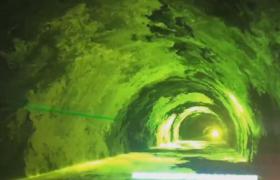 沉浸式绿色隧道
